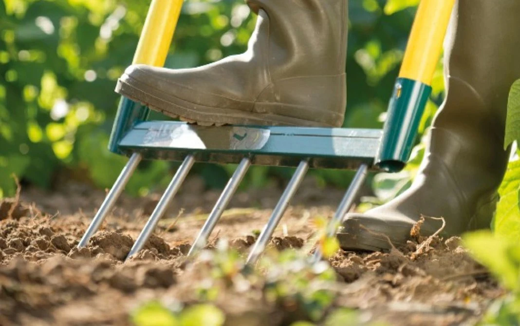 Design at the heart of Leborgne innovation