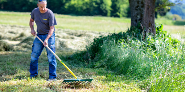 Maintain lawns and grassy areas