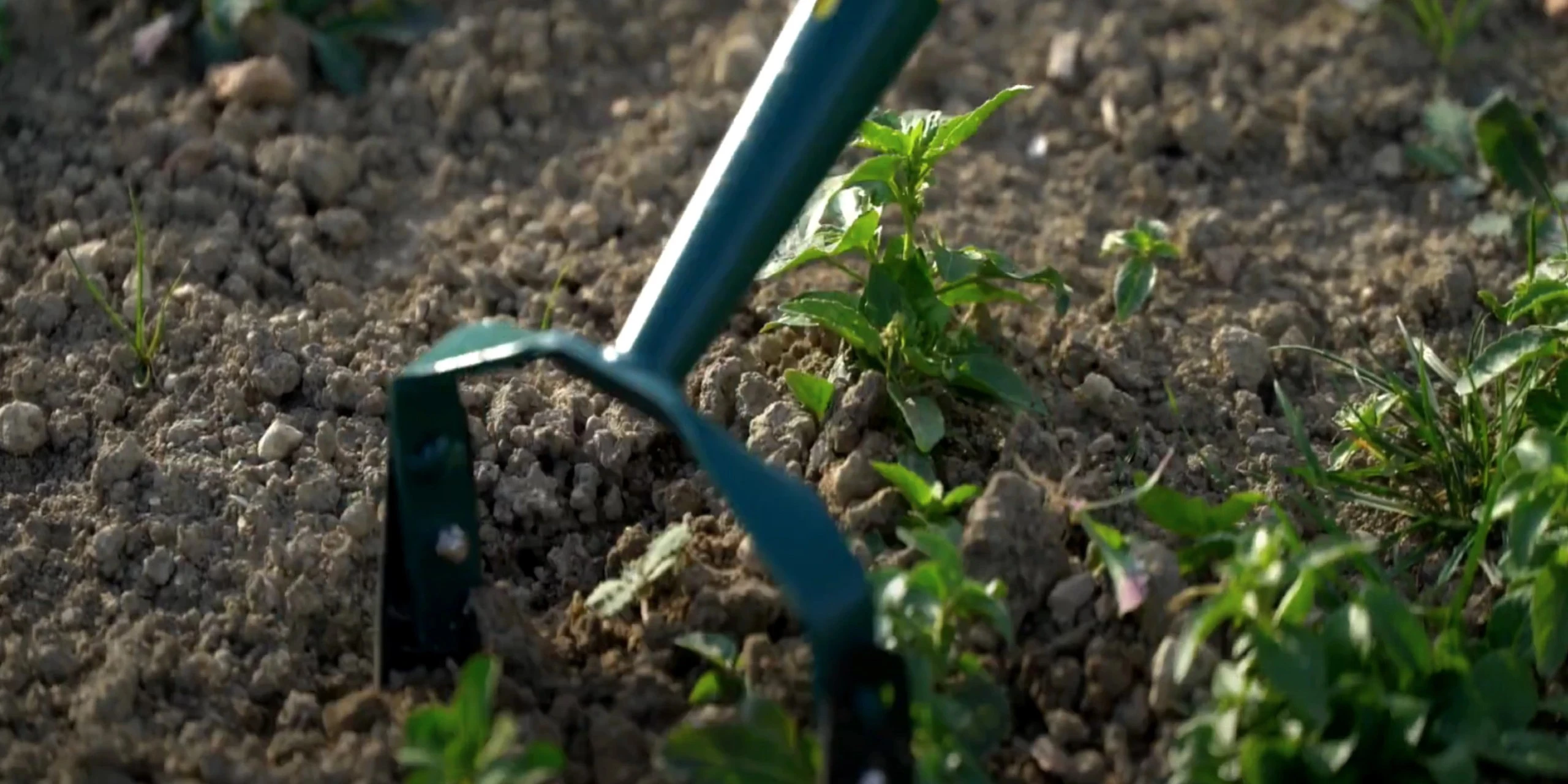 Our Sustainability Policy