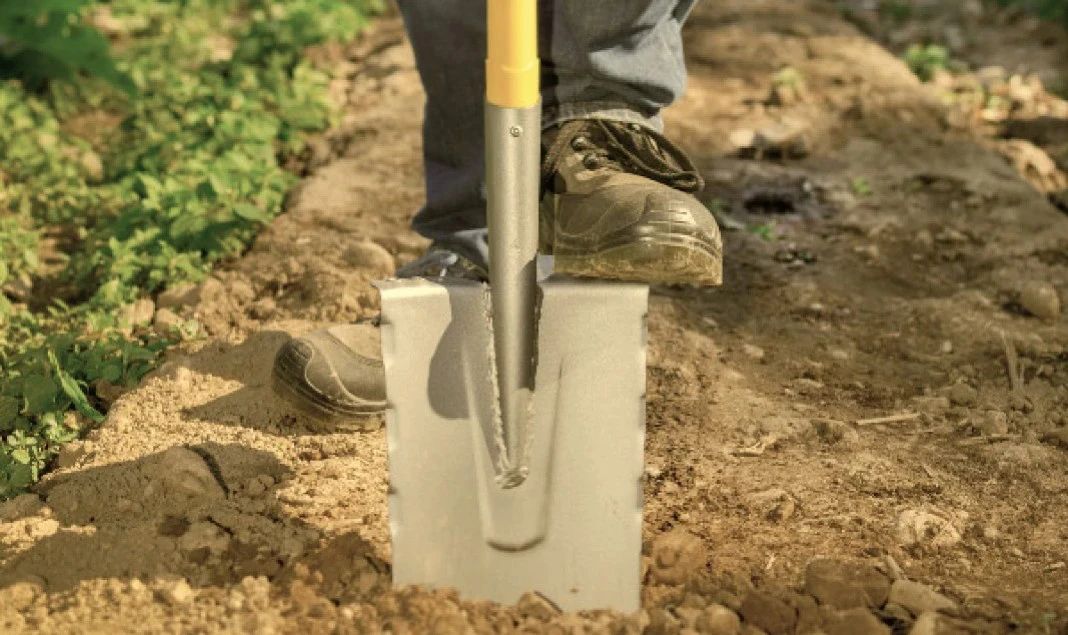La relève est assurée par Denis et François Lozac’hmeur