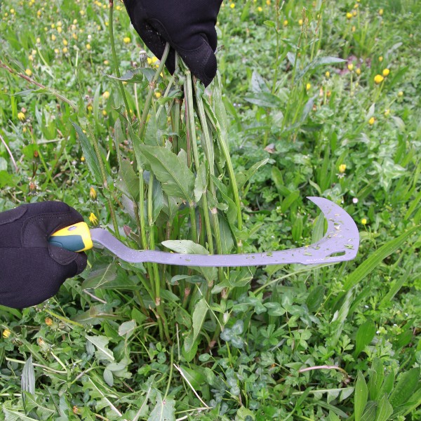 Duopro® sickle for undergrowth curved 50cm, bi-material handle 2