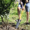Duopro Transplantation draining spade 33 cm