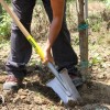 Duopro Transplantation draining spade 33 cm