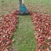 XL lawn rake