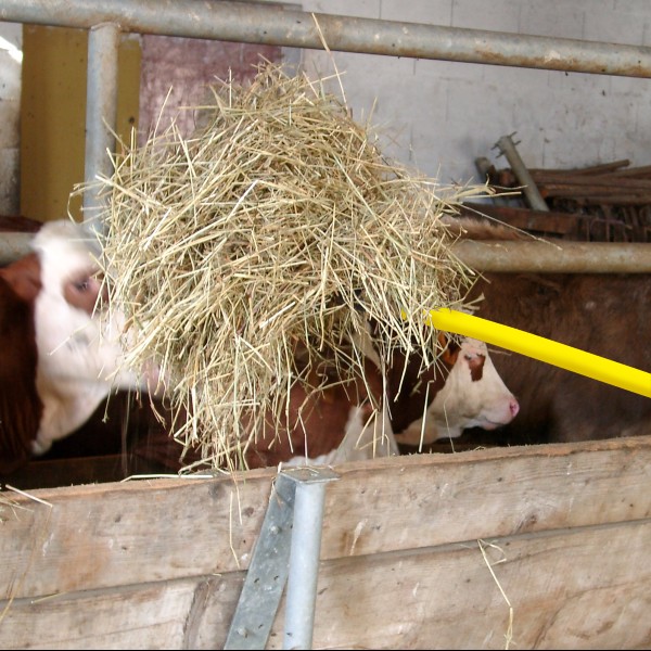 Manure forks with socket 4 prongs 3