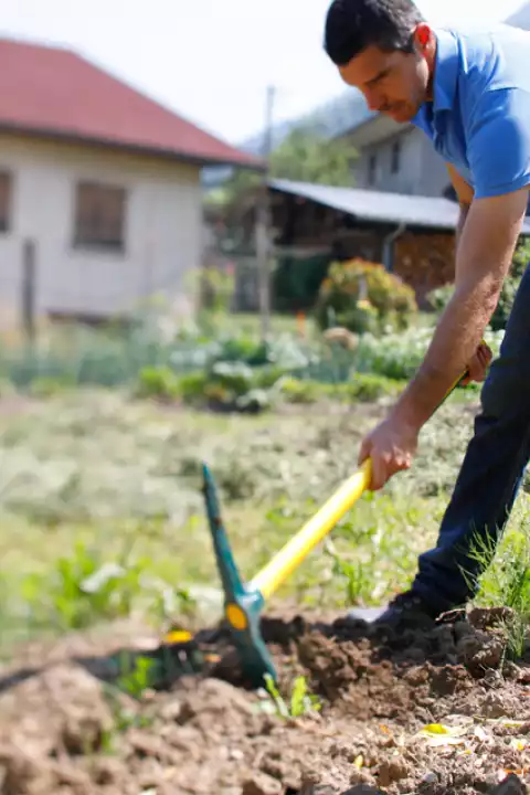 Earthworks & clearing